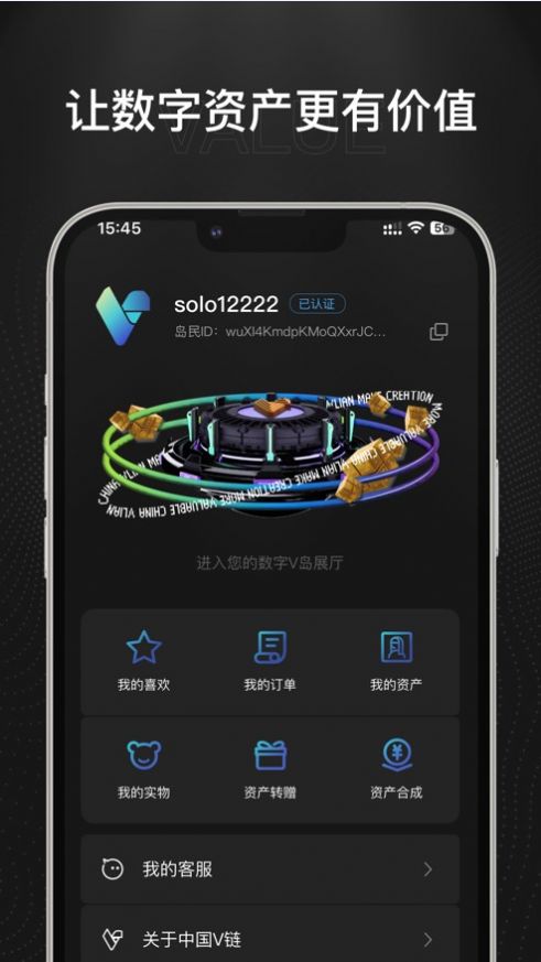 数字V岛