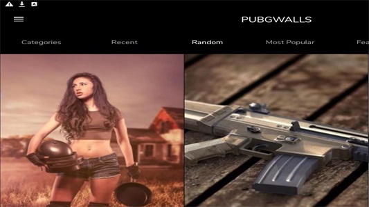 PUBGWALLS