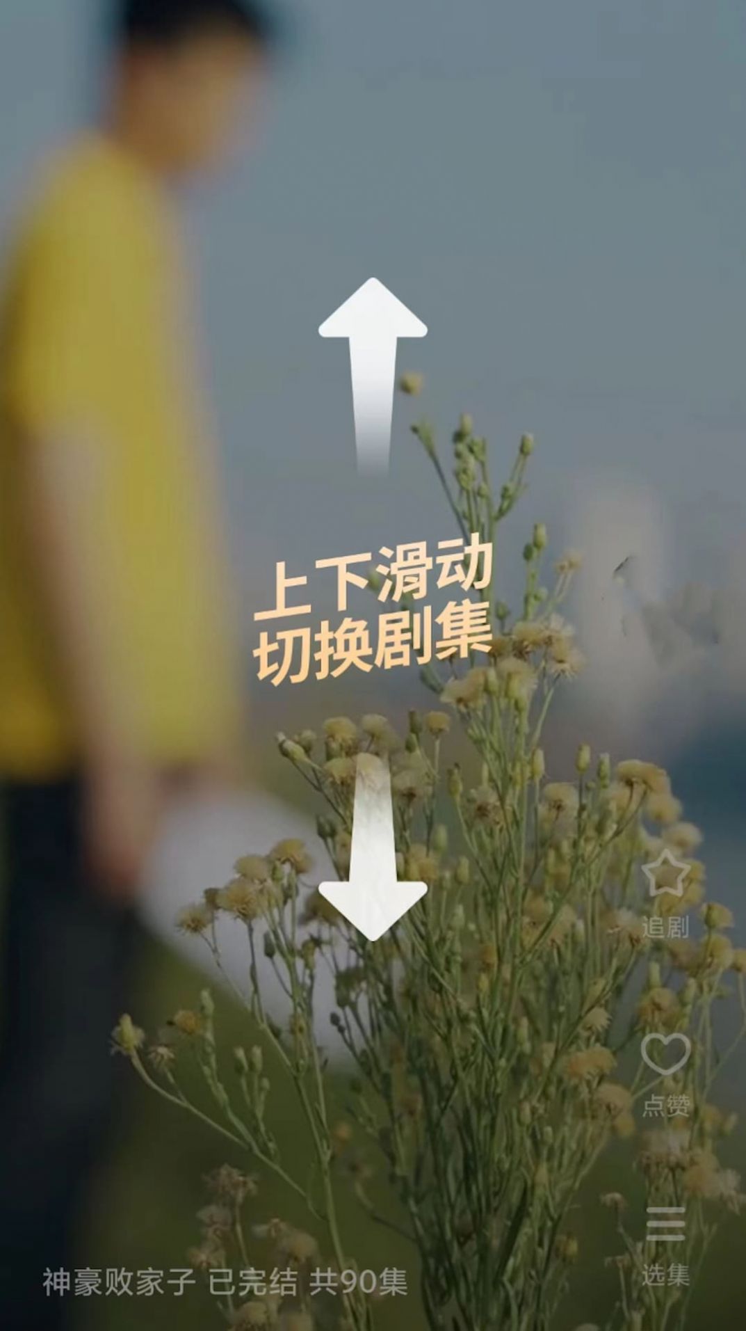  番茄短剧
