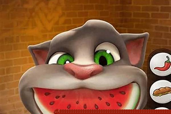 会说话的汤姆猫攻略