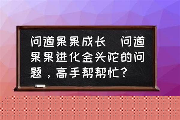 问道果果值得打造吗