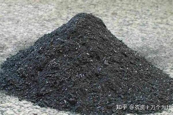 草木灰的化学式主要成分