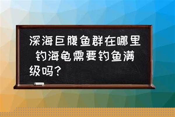 深海巨腹鱼在哪钓