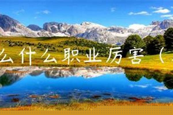 醉逍遥什么职业性价比最高