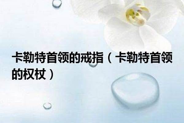 卡勒特首领的戒指叫什么