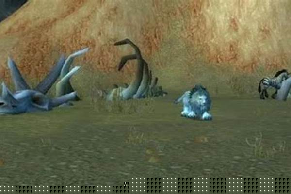 埃其亚基值得抓吗