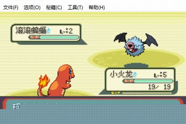 口袋妖怪命运红宝石攻略