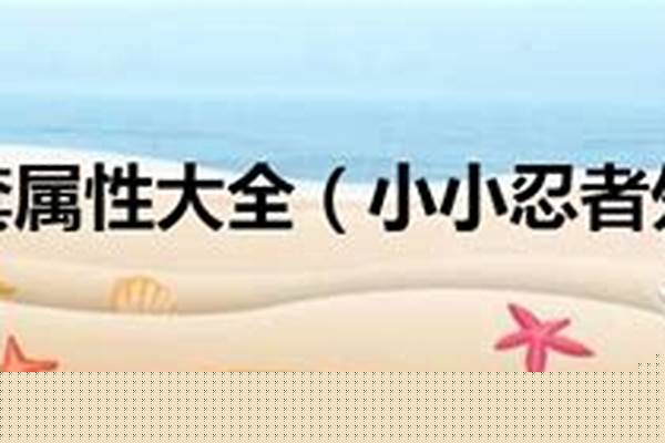 小小忍者外套属性大全