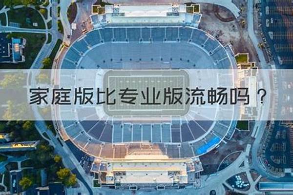 家庭版比旗舰版流畅吗