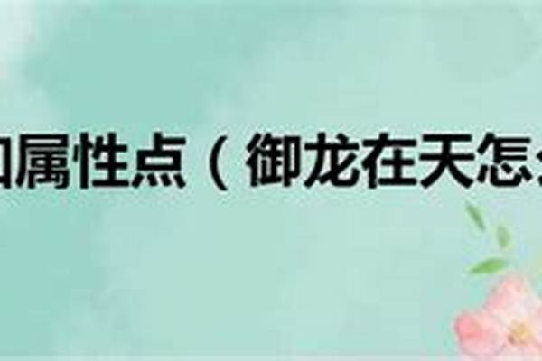御龙在天怎么加属性点
