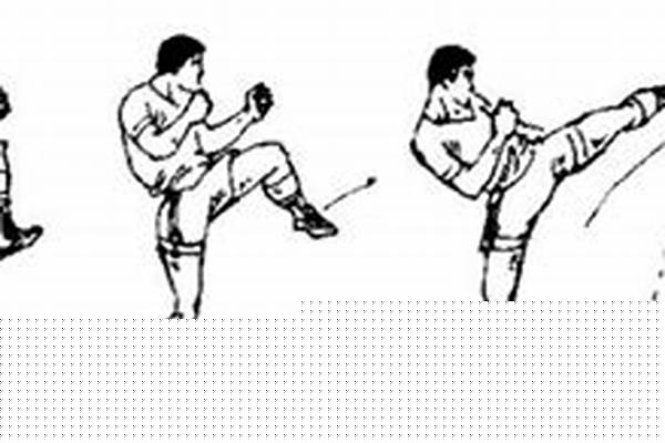 散打加力量还是攻击