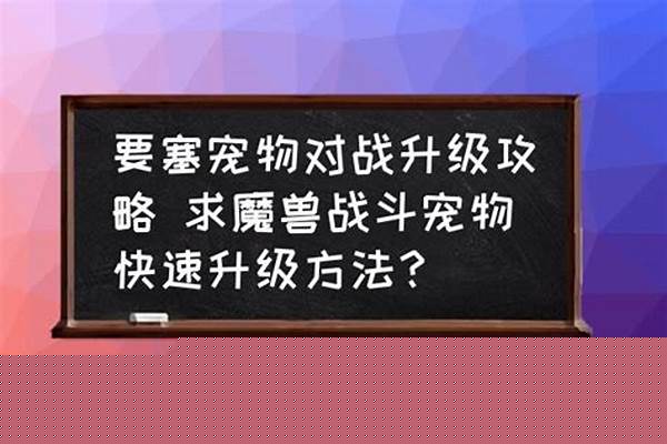 宠物对战快速升级
