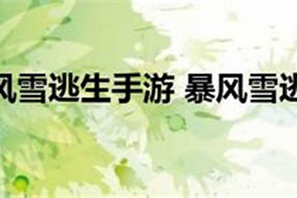 暴风雪逃生攻略大全