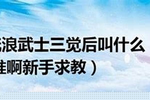 流浪武士觉醒后叫什么