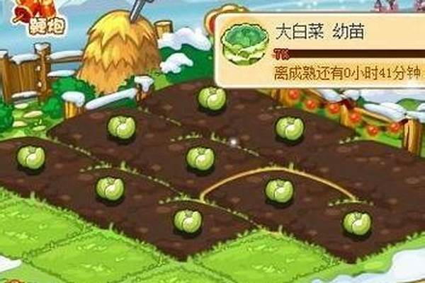 洛克王国家园木条交换