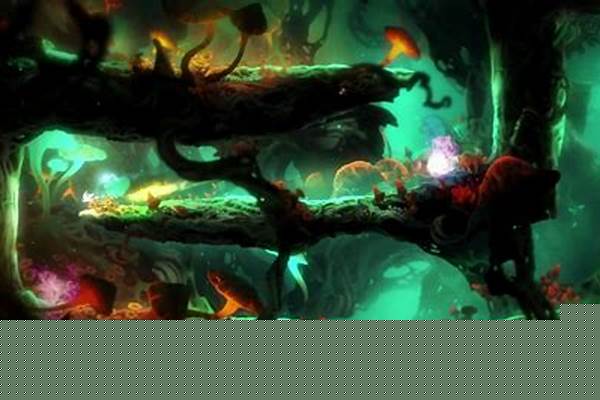 奥日与迷失森林技能的位置