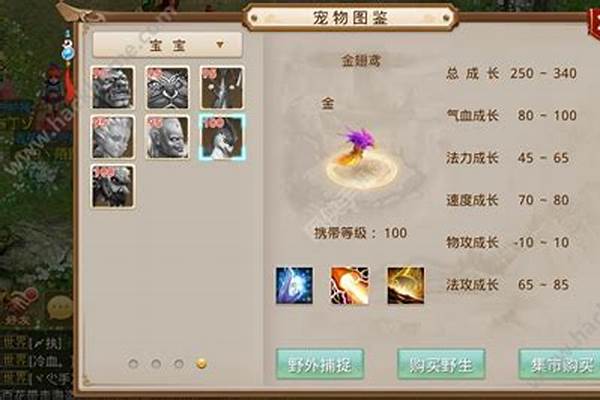 问道宠物进化金翅鸢