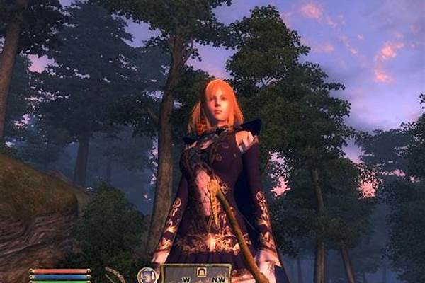 上古卷轴这个存档所需要的内容