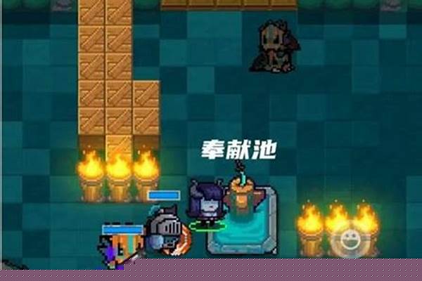 元气骑士奉献池觐见主的力量