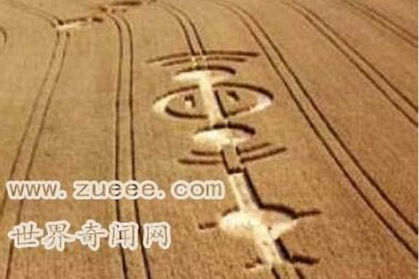 伊卡因是什么成分