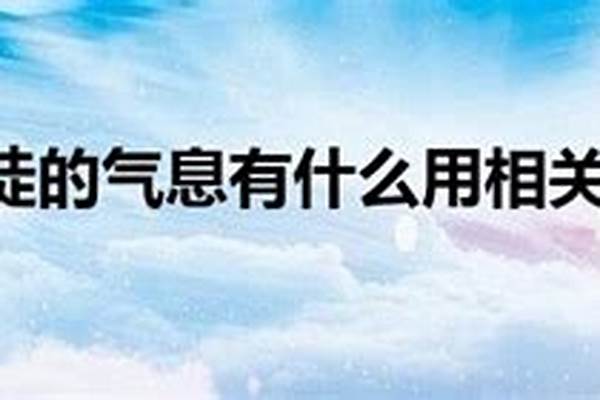 使徒的气息还有用吗