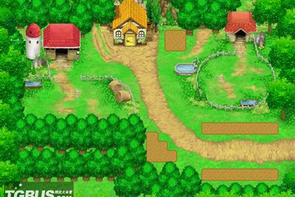 农场物语双子村攻略