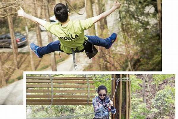 丛林冒险有哪些项目