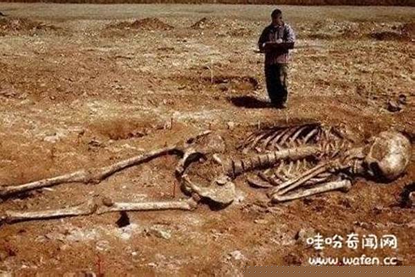 远古遗骸在哪里获得