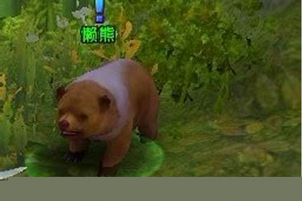 轩辕传奇懒熊的考验坐标