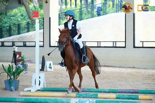 马术障碍赛比赛计分规则