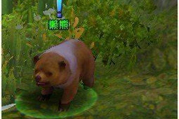 轩辕传奇懒熊的考验坐标