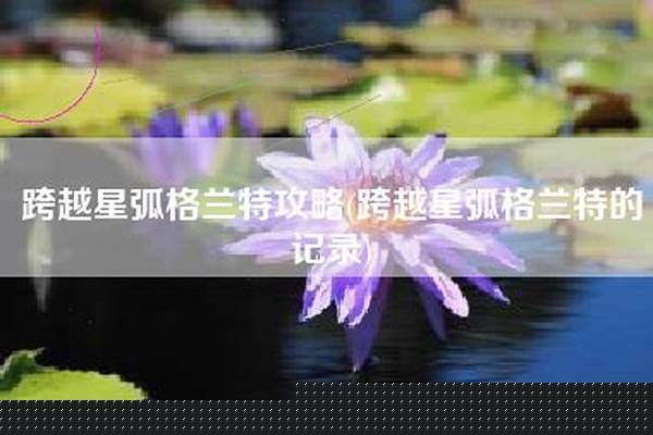 跨越星弧格兰特的记录