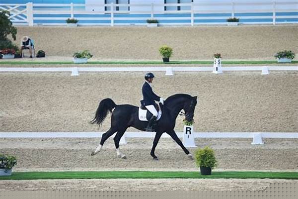 亚运会马术障碍赛