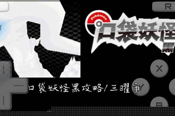 口袋妖怪黑攻略怪力术