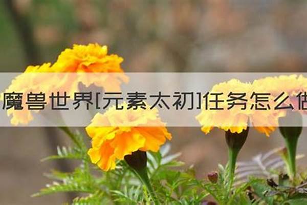 元素太初任务顺序