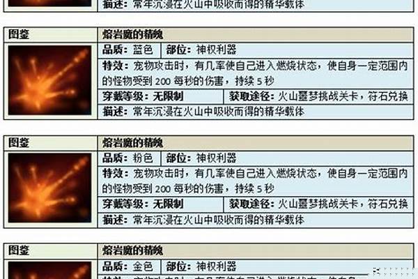 勇士的信仰宠物装备