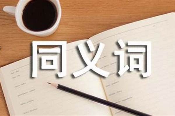 和正义差不多的词