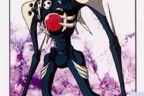 使徒的意义是什么