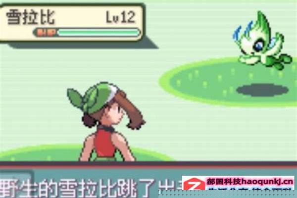 口袋妖怪心金雪拉比怎么收