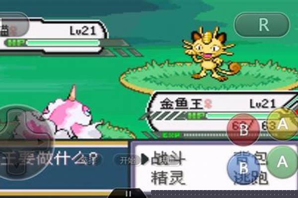 口袋妖怪金攻略详细