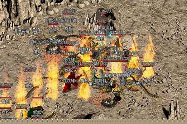 力宝宝和法宝宝哪个好