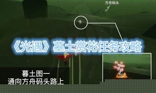 光遇墓土赏花任务怎么做