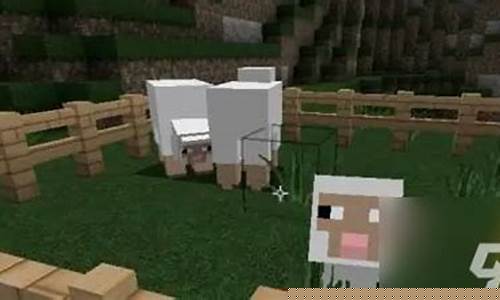 我的世界怎么驯服山羊