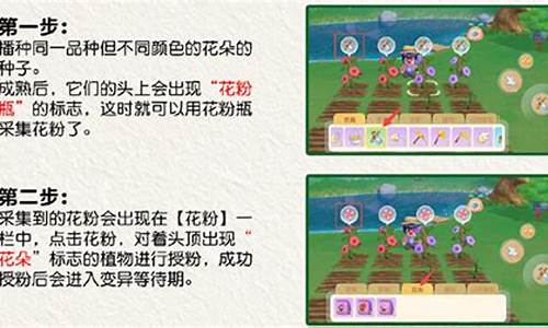 摩尔庄园授粉攻略黑色满天星