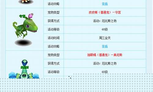 新飞飞战士带什么宠物好