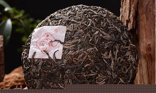 普洱茶属于什么茶