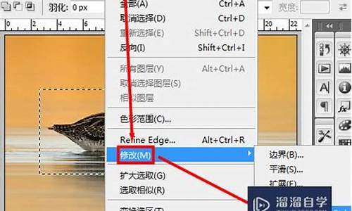 羽化怎么使用(羽化可以制作什么效果)