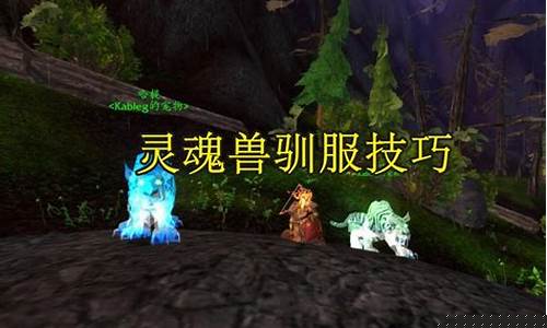 魔兽世界幽灵兽在哪抓