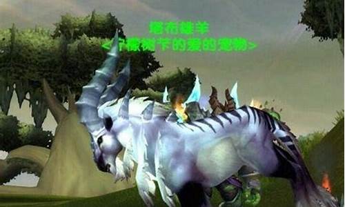 魔兽世界稀有宠物排行
