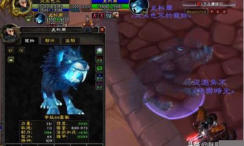 魔兽猎人宠物怎么放生